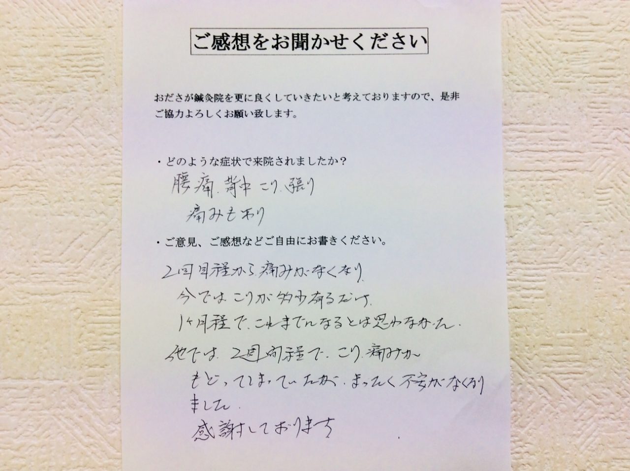 患者からの　手書手紙　木材業　背腰痛、こり・張り